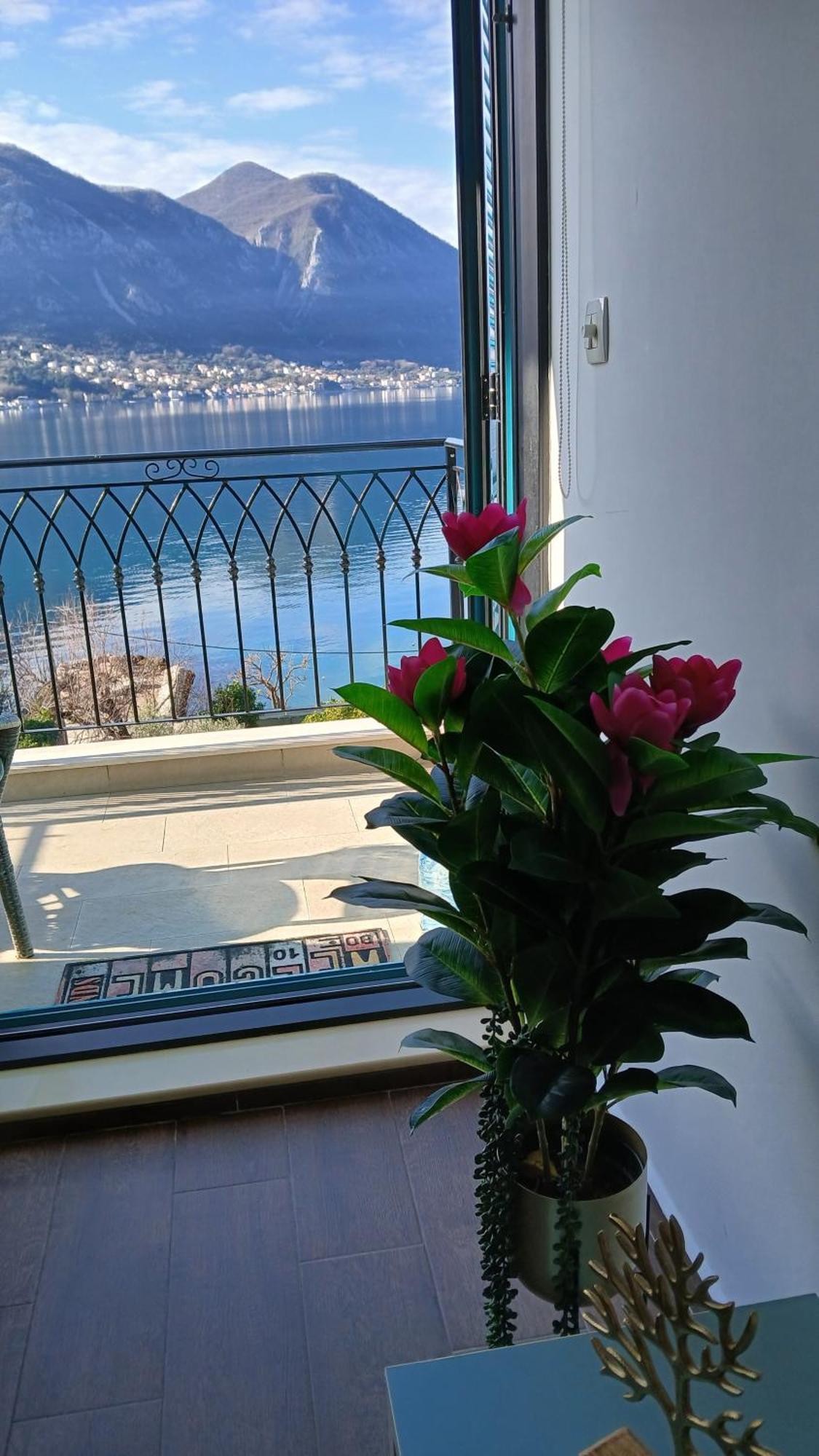 Apartment Funny Cattaro Esterno foto